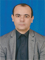 Saleh M. Amaitik
